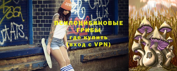 синтетический гашиш Алексин