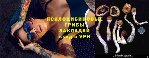 синтетический гашиш Алексин