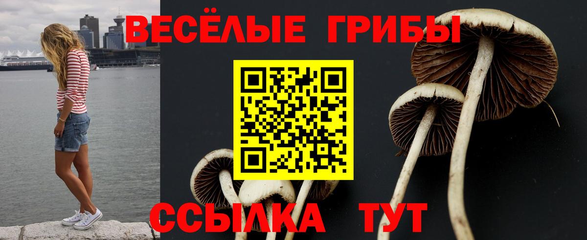 Галлюциногенные грибы Cubensis  Вход с VPN  Галлюциногенные грибы мицелий  Кондопога 